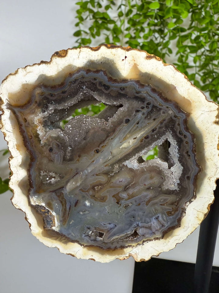 Linker vleugel van de ronde agaat vlinder met witte rand op zwarte standaard. Druzy aan de binnenzijde.