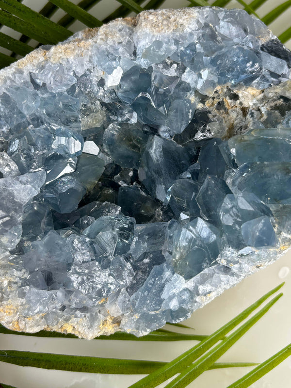XXL ruwe celestien. Donkerblauwe kristalpunten.