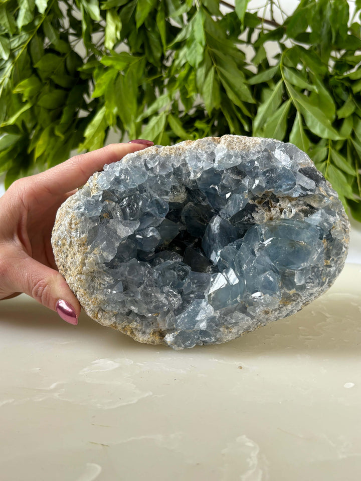 XXL ruwe celestien met hand. Donkerblauwe kristalpunten.